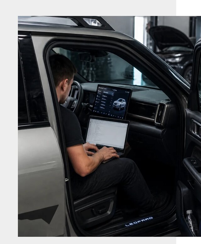 Русификация BYD Leopard 3 в Малгобеке по цене от 20533 р. | ФастМобиль-Млг